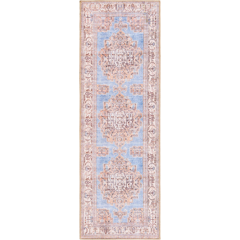 Mcclamma Chenille Oriental Indoor Rug, Runner 2' x 6'