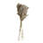 39'' Pampas Grass Grass