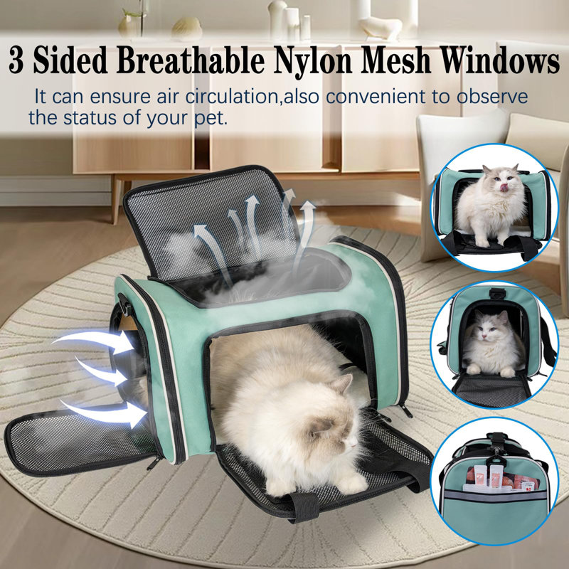 Green Airline Approved Foldable Pet Travel Carrier