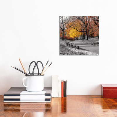 Park Pretty I 1 Piece Wall Art on Canvas