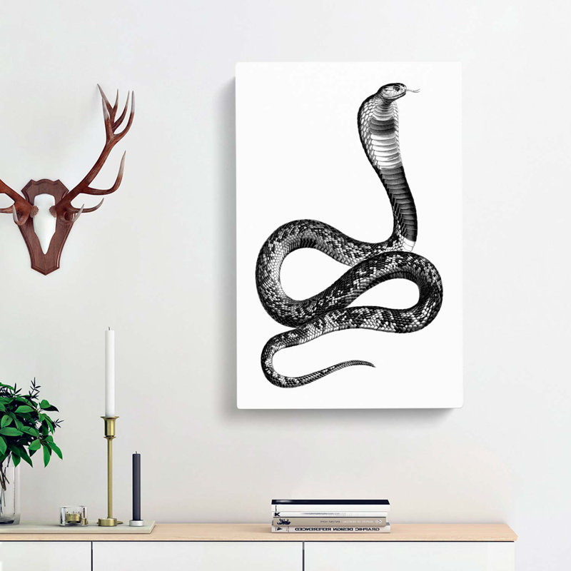 Viper Snake Illustration - Wrapped Canvas, 91cm H x 60cm W x 3cm D