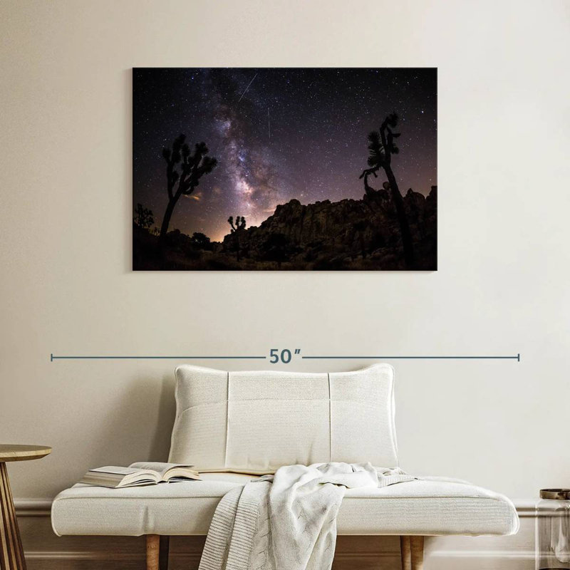 Oberle Starlit Joshua Tree Park
