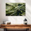 Marijuana cristallisée-108127445