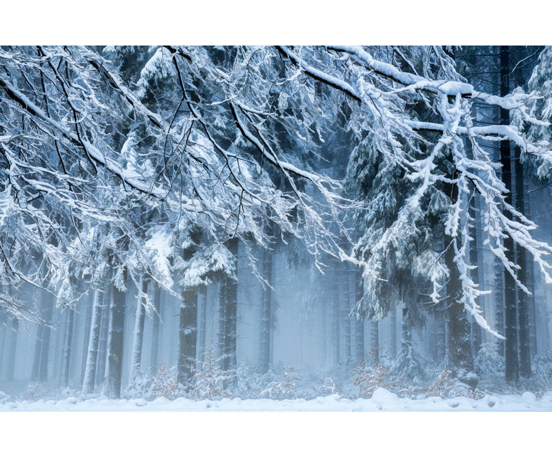 Wrapped Canvas Print, 50.8 cm H x 76.2 cm W