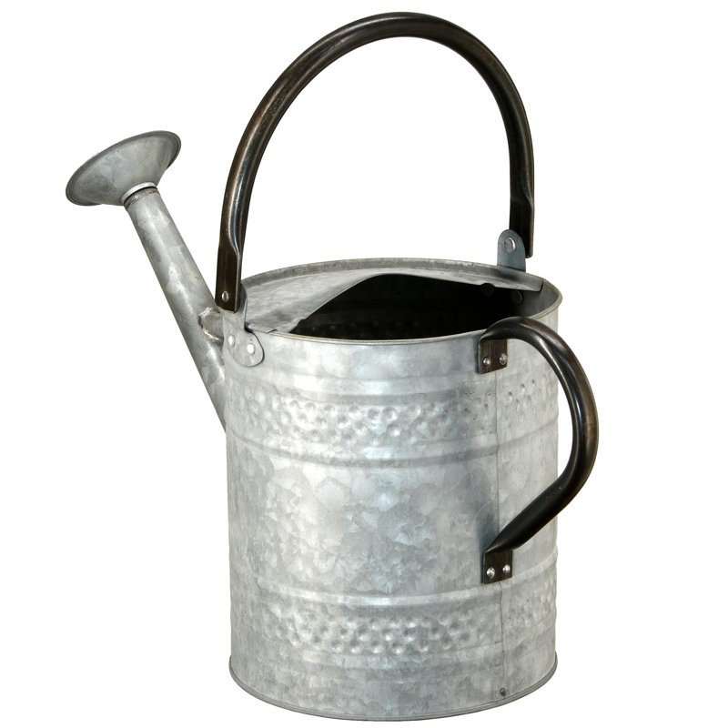 Arrosoir de jardin antique 16 "Chrisie