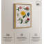 Art Remedy, impressions sur toile, sept plantes de jardin-111155147-111155158