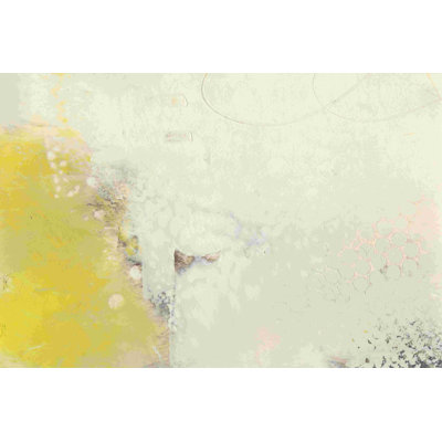 " Yellow Lux I " by Sue Jachimiec Painting Print