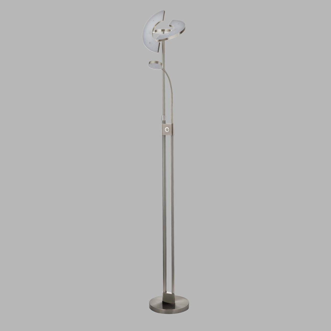 Rianne 210cm LED Novelty Floor Lamp