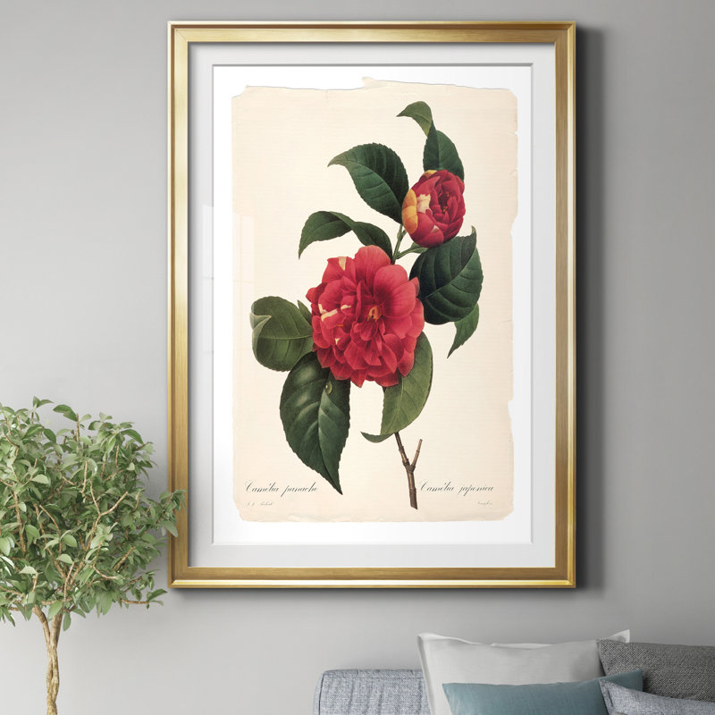 Red Botanical I - Cadre photo, reproduction d'art sur papier, Papier avec cadre doré, H 26,5 po x l 36,5 po x P 1,5 po