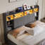 Upholstered Storage Bed-342922409-342922408