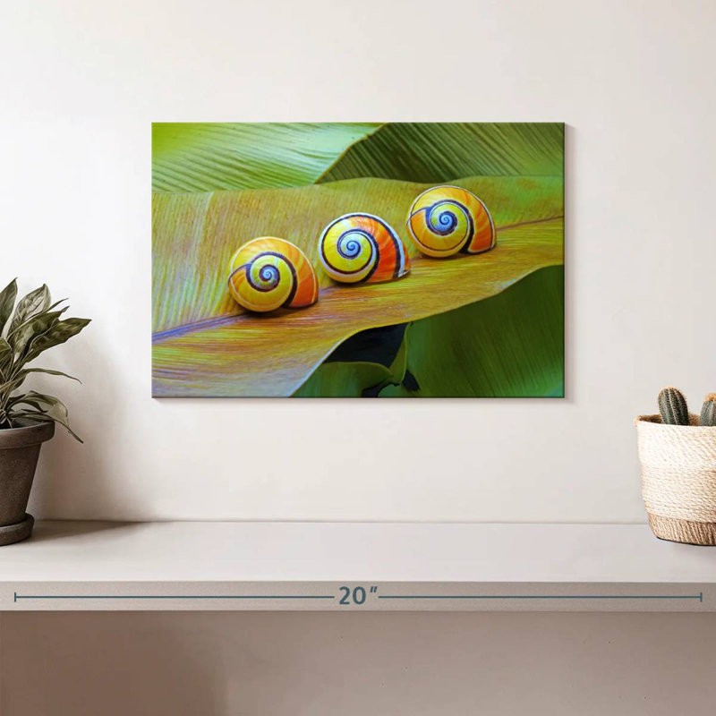 Cuban Snails, 8" H x 12" W