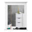 Emmerlyn Flat Mirror with Shelves