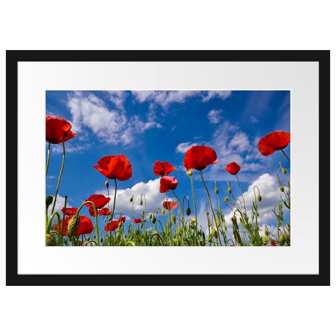 Gerahmtes Poster Wiese mit Blumen