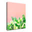 « heat montée », impression sur toile succulent-2004295100-2004295103