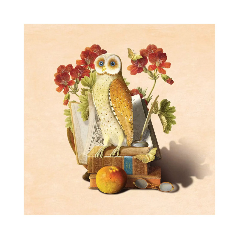 Hibou apprenti, H 18 po x l 18 po x P 1,5 po, Toile tendue