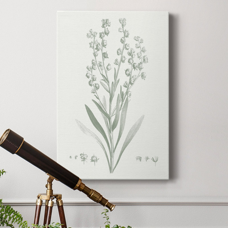 «Botanical Study In Sage I», reproduction sur toile tendue, H 27 po x l 18 po x P 1 po