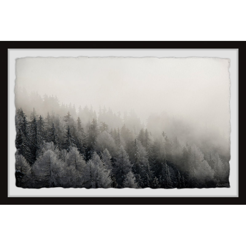 «I Belong in the Forest», peinture sur toile, L 45 po x H 30 po x P 1,5 po, Papier noir encadré avec coin fermé, Blanc