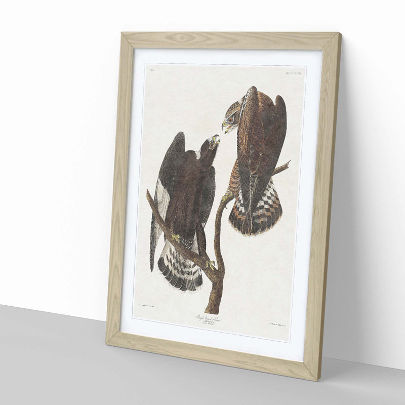 Rough-Legged Falcons by John James Audubon - Picture Frame Graphic Art Print, 60cm H x 40cm W x 2cm D, Oak
