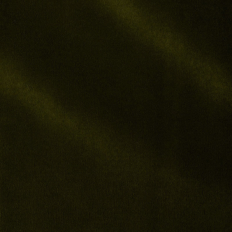 Rocky Performance Velvet Fabric, Moss