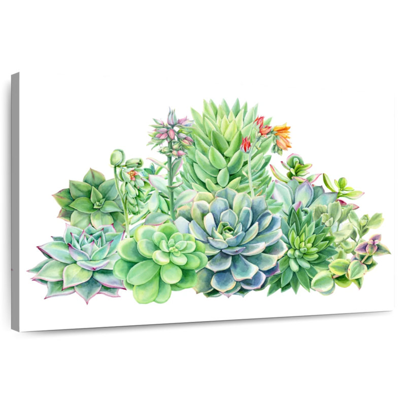 Harnek Succulent Plant Bouquet, 8" H x 12" W