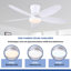 Ventilateur de plafond encastré 36/42/48 po à profil bas avec éclairage et télécommande-647977738-647977973