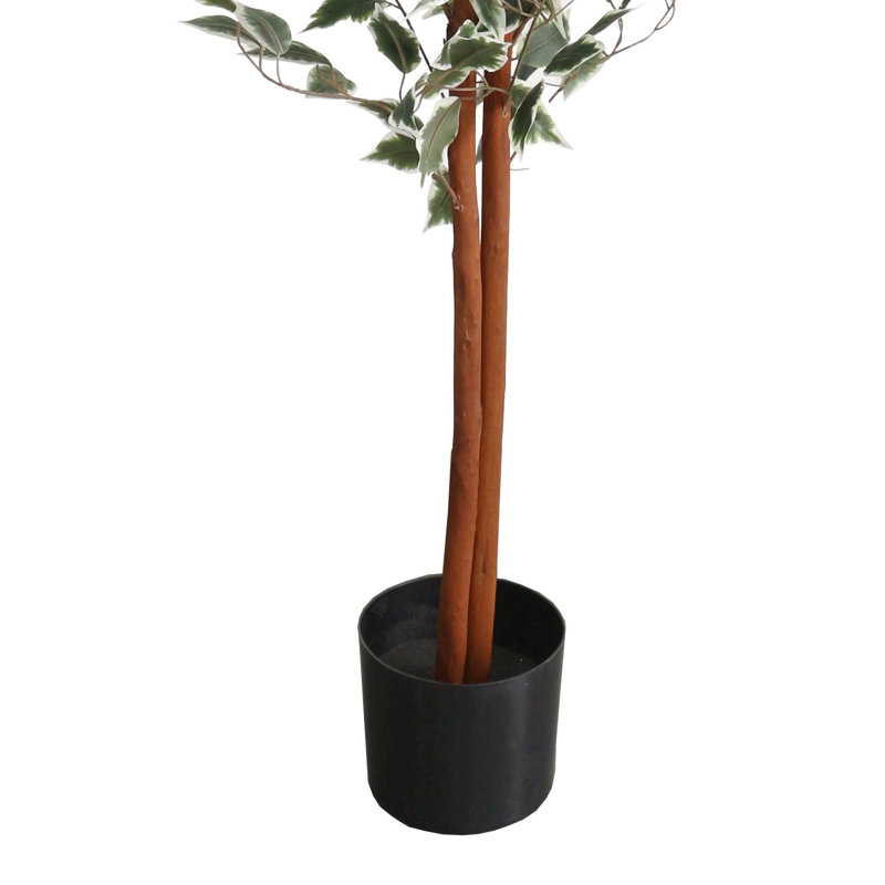 Anivea 160cm Faux Ficus Tree in Pot