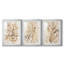 Parchment Coral I - ensemble de 3 cadres photo-1964973413-1964973417