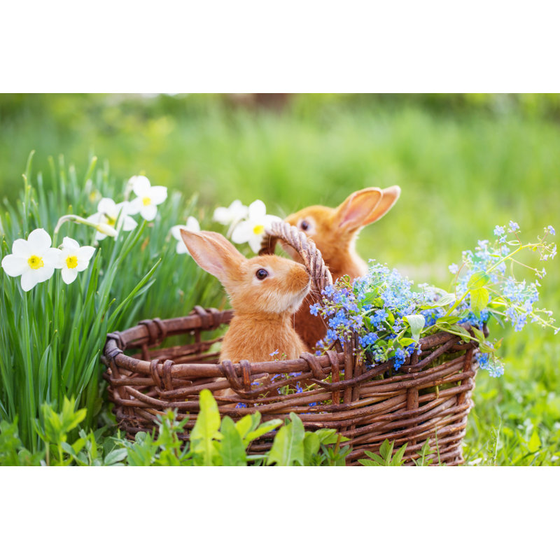 Red Rabbits Outdoor - Wrapped Canvas Print, 81cm H x 122cm W
