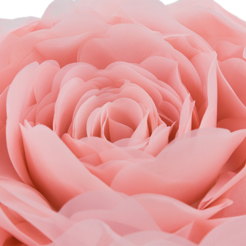 Housse de coussin décoratif décorative 3D Rose Flower Design18 x 18 pouces, Rose