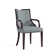 Elianys 18.5'' H Upholstered Beech Armchair