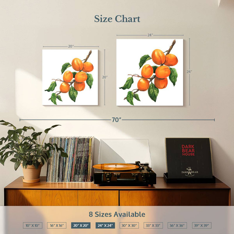 Yarlin Ripe Apricots, 20" H x 20" W