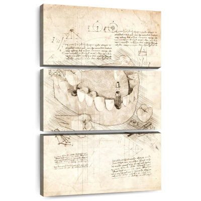 Human Dental Implant