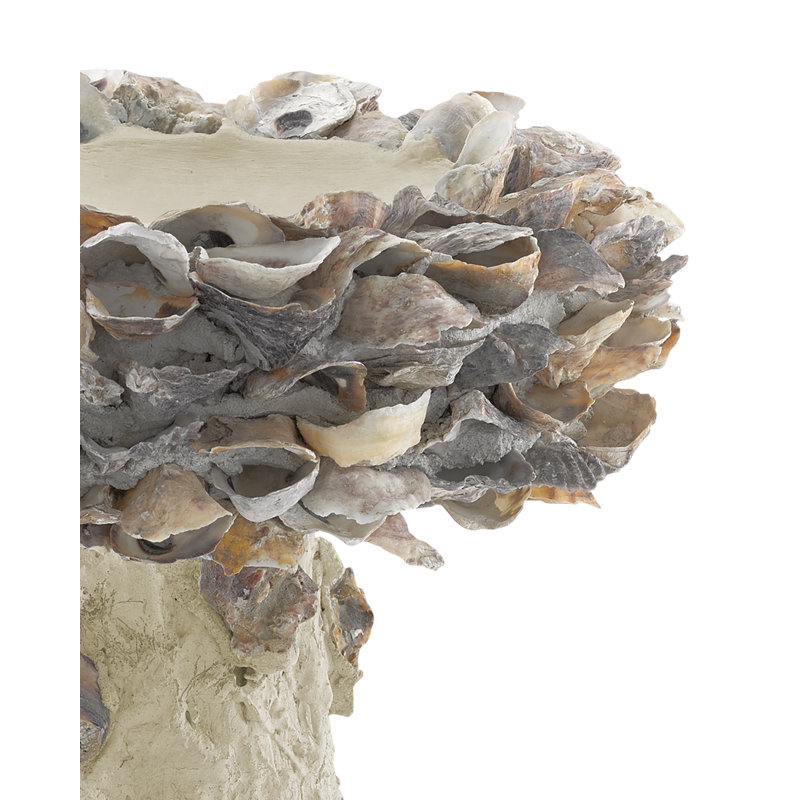 Oyster Shell Concrete / Cement Pedestal Birdbath, 14" H x 13.5" W x 13.5" D