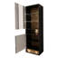 Aronoff Display Cabinet-1656639520