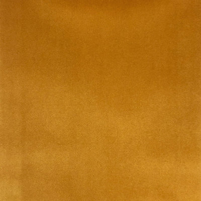 Solid Velvet | Tuscan Fabric