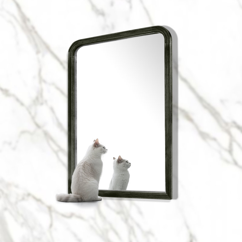 Bathroom/Vanity Wall Mirror with Wood Frame, 30" x 20", Black