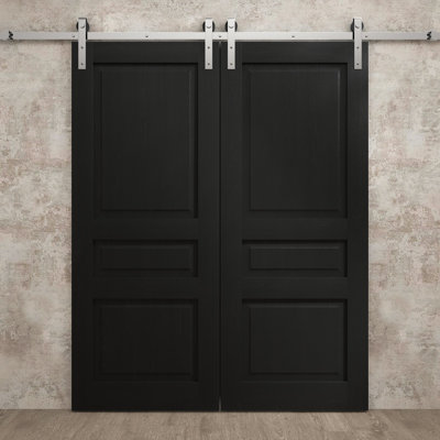 Modern Double Barn Door | Ego 5012 | Silver Rail Track Set | Solid Panel Interior Doors