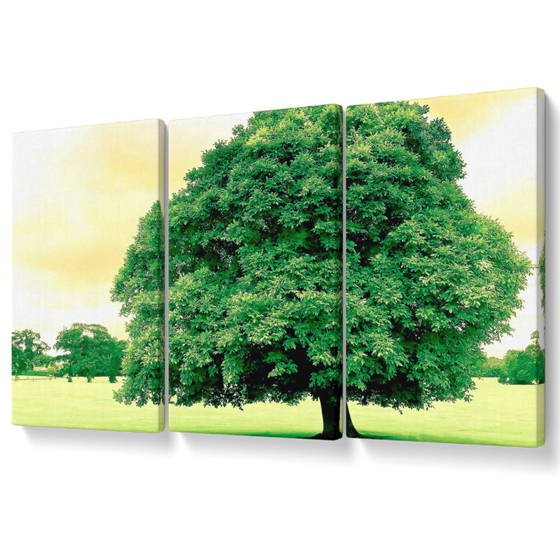 Green Tree - 3 Piece Wrapped Canvas Print, 50.8cm H x 106.6cm W