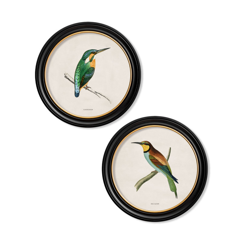 Bee Eater by Mid-1800s - Single Picture Frame Print on Archival Matt 230gsm Paper