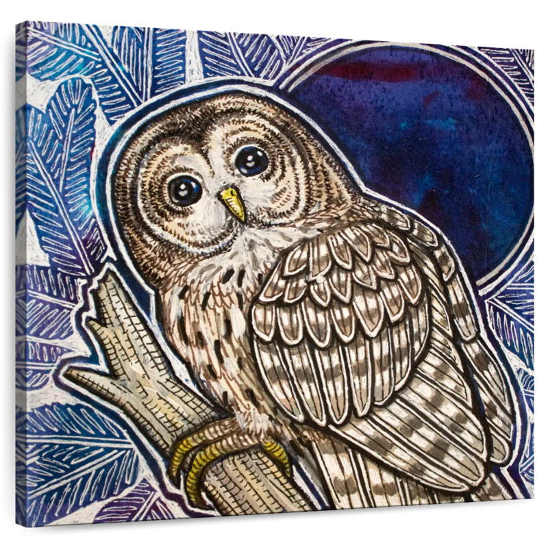 Crowle Barred Owl On Fir Tree