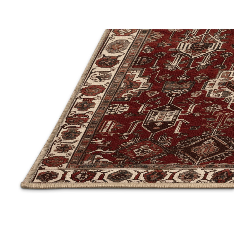 Machine Washable Turkish Brown Area Rug, Rectangulaire 2 pi x 3 pi