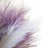 Mauve / Blanc
