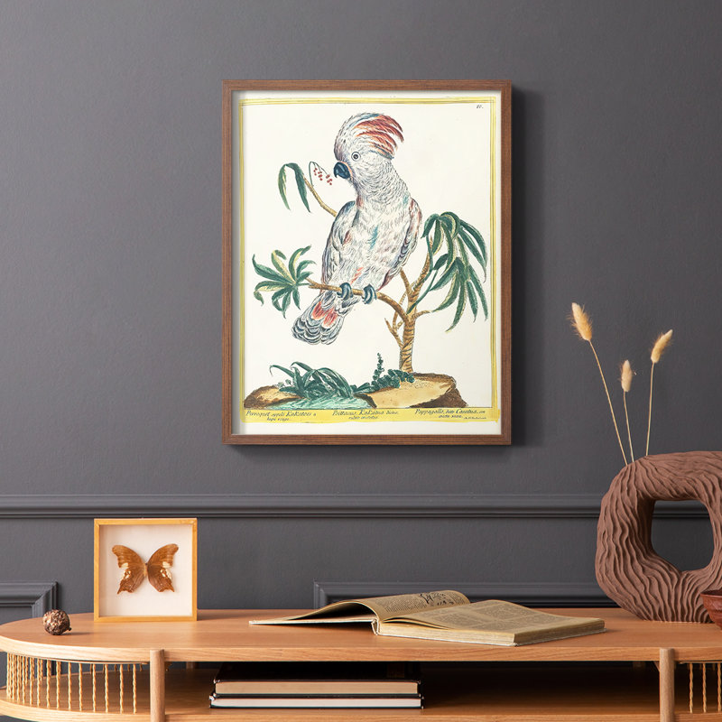 «Pastel Birds II», reproduction encadrée - bois massif, Brun, H 10 po x l 8 po