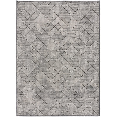 Bhanmati Area Rug