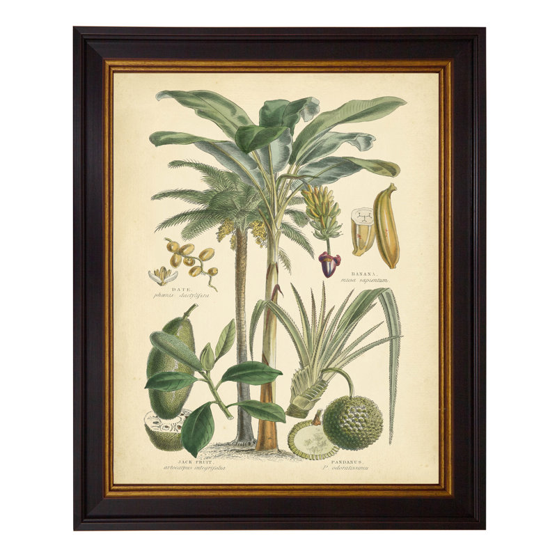 Fruitful Palm II - Single Picture Frame Print