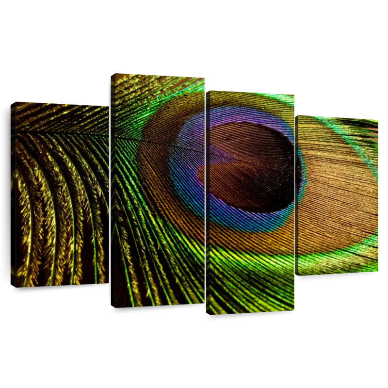 Brampt Eyespot On Peacock Feather