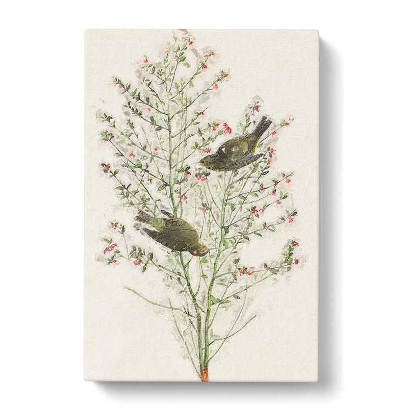 Orange-Crowned Warbler Birds by John Audubon - Wrapped Canvas, 76cm H x 50cm W x 3cm D