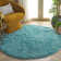 Hermina Light Turquoise Area Rug