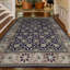 Sultanabad Wool Oriental Area Rug
