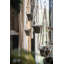 Plant Hanger-91336995